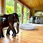 Prázdninový dům Of Africa - Einzigartige Themenzimmer, Eingezaeunten Garten, Sauna, Whirlpool & Kamin, Hunde Willkommen, Gasgrill, Voll Ausgestattete Kueche, Grosser Essbereich, Hamburg & Stade In Der Naehe Hollern-Twielenfleth