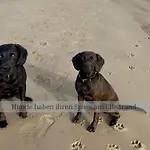 Prázdninový dům Of Africa - Einzigartige Themenzimmer, Eingezaeunten Garten, Sauna, Whirlpool & Kamin, Hunde Willkommen, Gasgrill, Voll Ausgestattete Kueche, Grosser Essbereich, Hamburg & Stade In Der Naehe