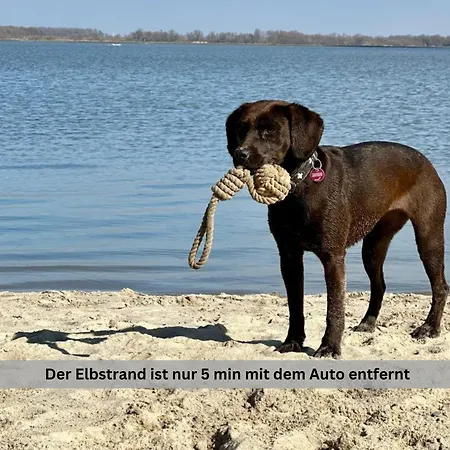 Дом отдыха Of Africa - Einzigartige Themenzimmer, Eingezaeunten Garten, Sauna, Whirlpool & Kamin, Hunde Willkommen, Gasgrill, Voll Ausgestattete Kueche, Grosser Essbereich, Hamburg & Stade In Der Naehe *