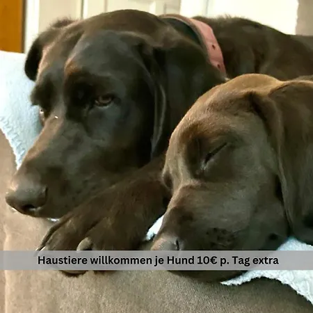Of Africa - Einzigartige Themenzimmer, Eingezaeunten Garten, Sauna, Whirlpool & Kamin, Hunde Willkommen, Gasgrill, Voll Ausgestattete Kueche, Grosser Essbereich, Hamburg & Stade In Der Naehe *