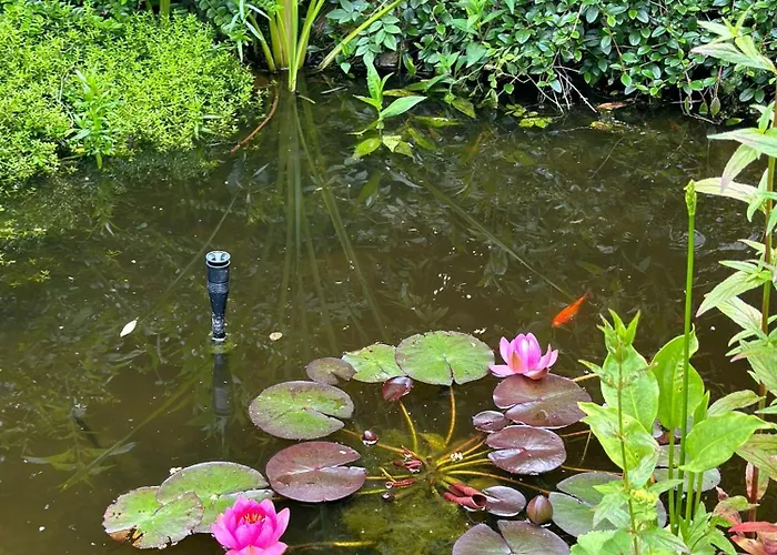 Of Africa - Einzigartige Themenzimmer, Eingezaeunten Garten, Sauna, Whirlpool & Kamin, Hunde Willkommen, Gasgrill, Voll Ausgestattete Kueche, Grosser Essbereich, Hamburg & Stade In Der Naehe Semesterbostad Hollern-Twielenfleth
