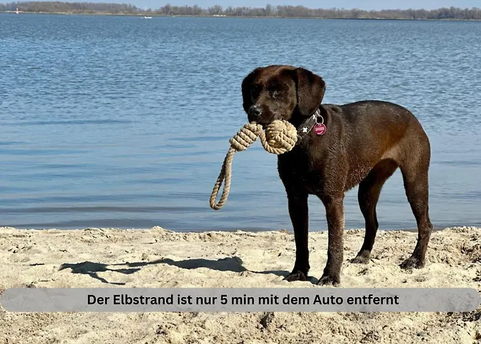 Semesterbostad Of Africa - Einzigartige Themenzimmer, Eingezaeunten Garten, Sauna, Whirlpool & Kamin, Hunde Willkommen, Gasgrill, Voll Ausgestattete Kueche, Grosser Essbereich, Hamburg & Stade In Der Naehe *