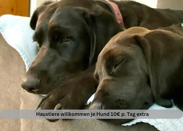 Of Africa - Einzigartige Themenzimmer, Eingezaeunten Garten, Sauna, Whirlpool & Kamin, Hunde Willkommen, Gasgrill, Voll Ausgestattete Kueche, Grosser Essbereich, Hamburg & Stade In Der Naehe *