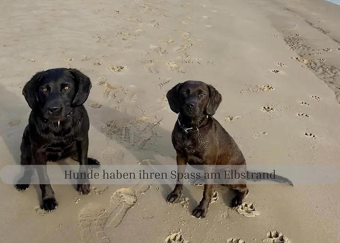 Prázdninový dům Of Africa - Einzigartige Themenzimmer, Eingezaeunten Garten, Sauna, Whirlpool & Kamin, Hunde Willkommen, Gasgrill, Voll Ausgestattete Kueche, Grosser Essbereich, Hamburg & Stade In Der Naehe